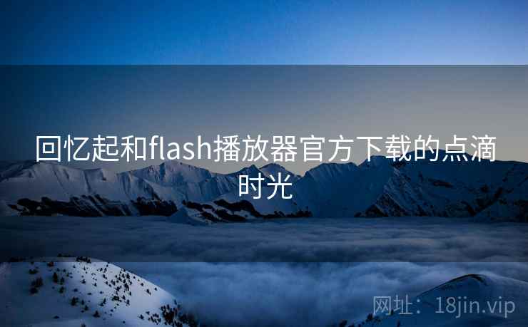 回忆起和flash播放器官方下载的点滴时光